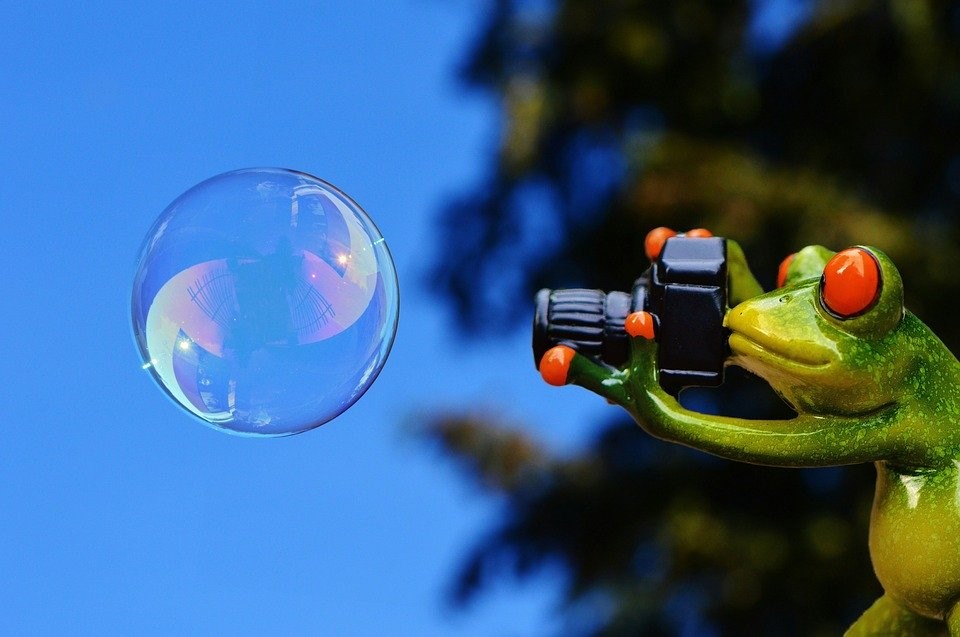 Ein Frosch mit einer Kamera, der eine Seifenblase fotografiert.